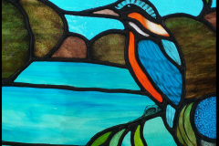 Kingfisher-Detail
